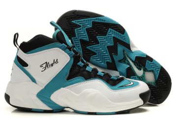 (image for) Nike Air Go LWP 2011 white/blue
