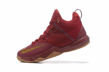 (image for) Nike LeBron Ambassador 9 Red wine/Golden
